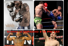 Cage Side Submissions Podcast Ep: 162 BerdugoPorterGlennToshev