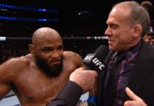 Yoel Romero Would Fight Anderson Silva For Interim Middleweight Championship If The UFC Offered